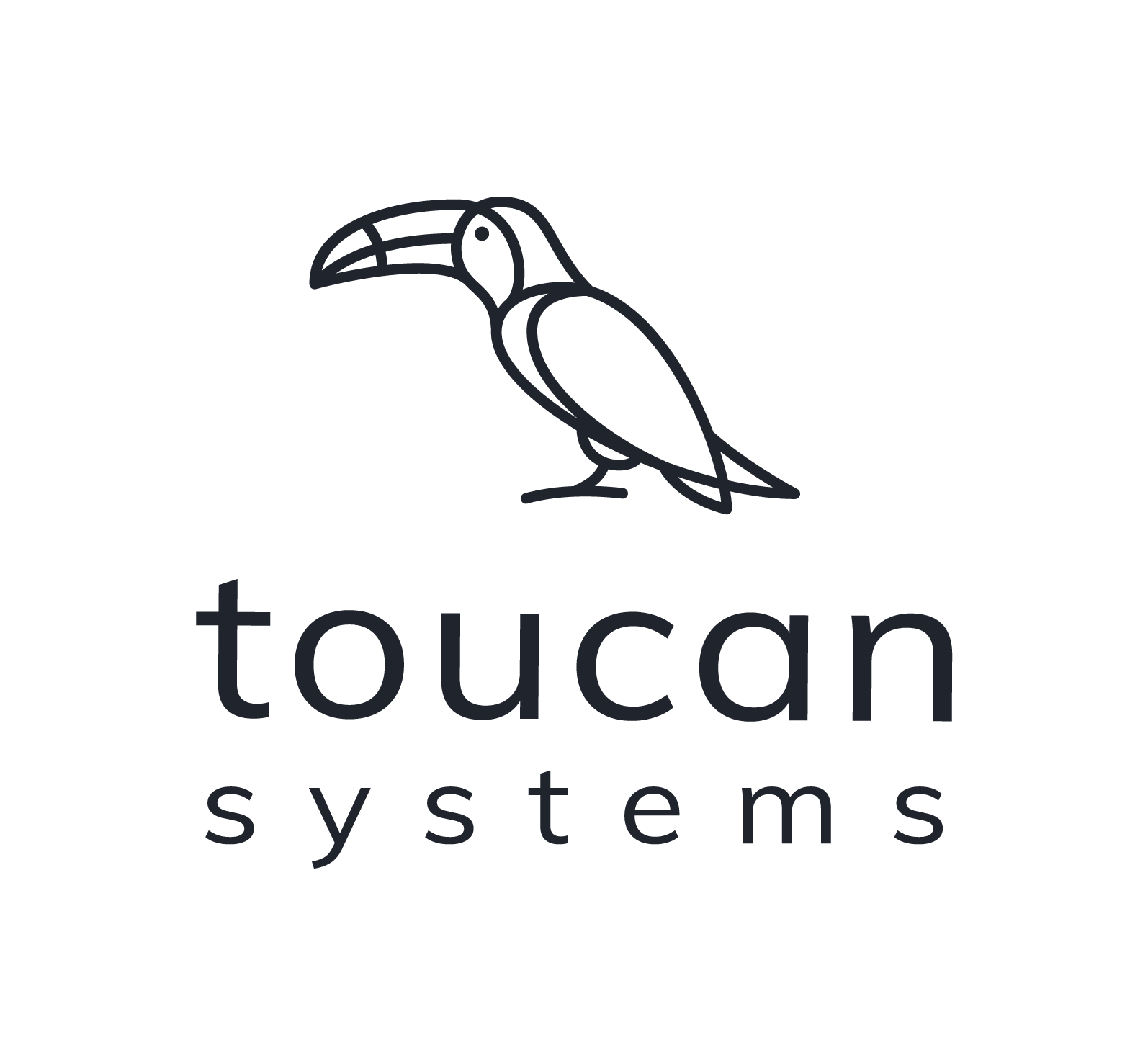 Spółka Toucan Systems - nowa odsłona